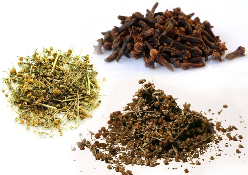 Pelin, tansy in nageljnove žbice, da se znebite parazitov