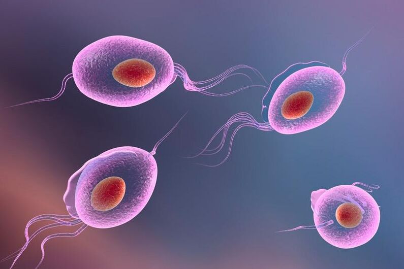 Trichomonas parazit - živi v človeškem genitourinarnem sistemu